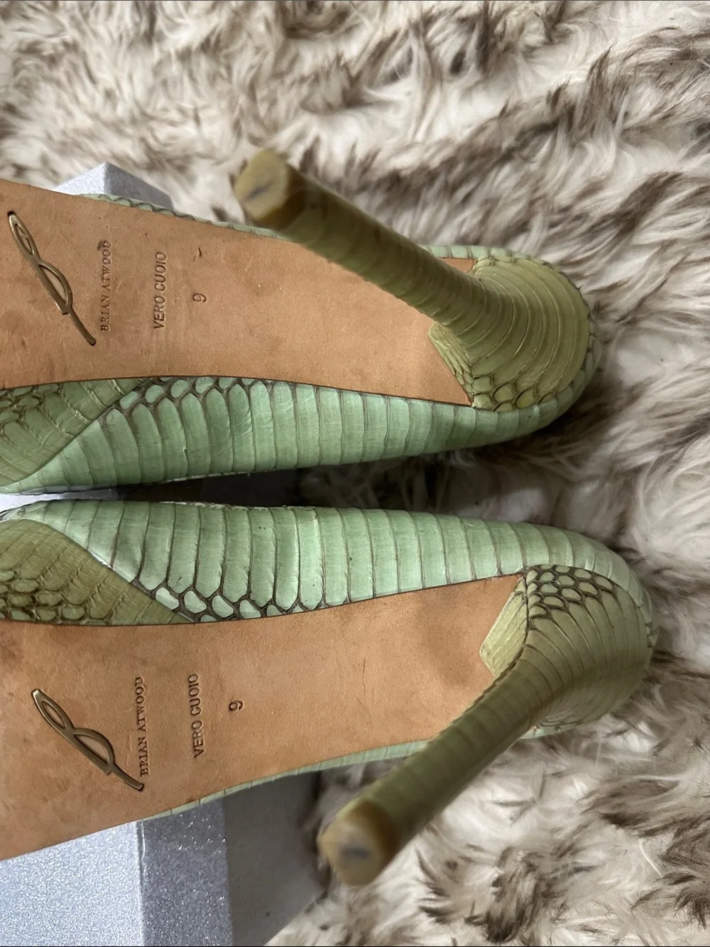 Brian Atwood brian atwwood
